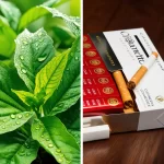 Does Natural Tobacco Have Nicotine? Here's the Truth