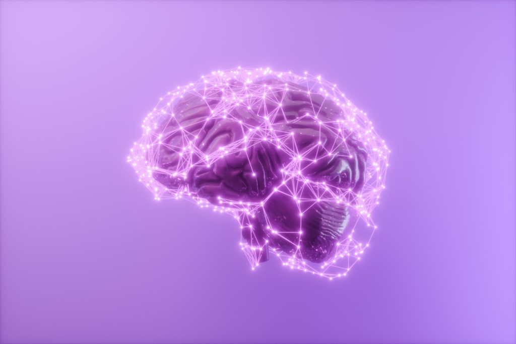 How Long Do Nootropics Stay in Your System