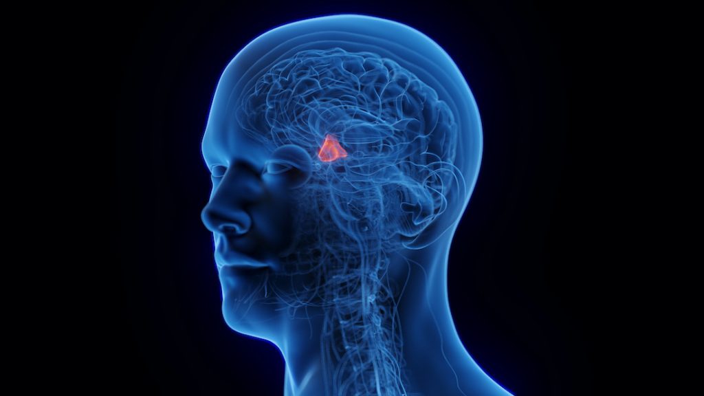 Can You Take Nootropics with Antidepressants