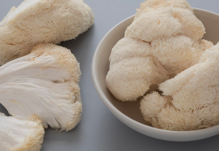 Lion’s Mane Mushroom