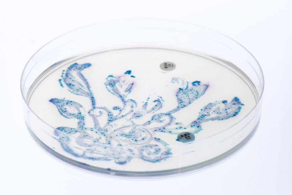 Why Your Gut Health Is More Important Than You Think