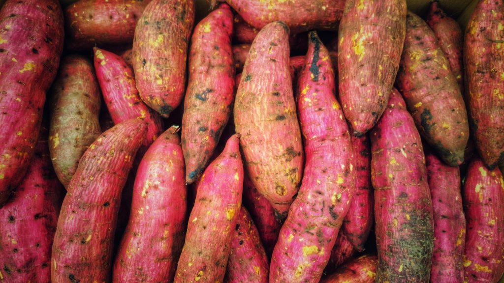 Foods That Could Help You Live 10 Years Longer