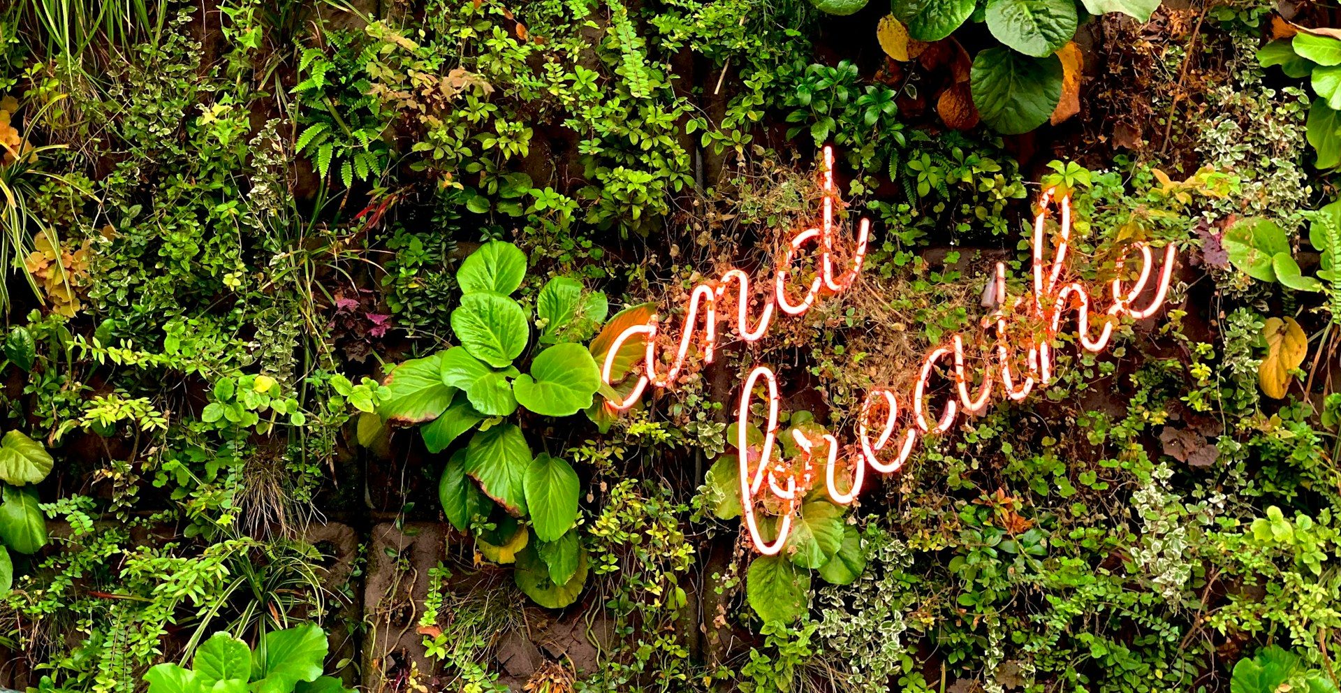 How to Use Biohacking to Crush Stress Before It Crushes You