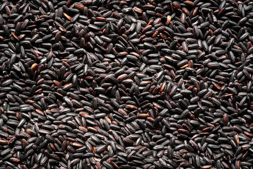 Foods That Could Help You Live 10 Years Longer
