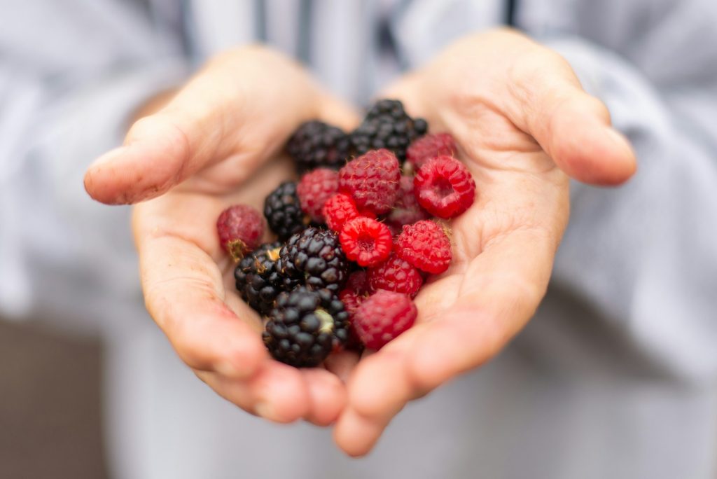 Eat These 7 Foods for a Longer Healthier Life